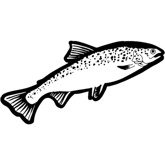 Hand Sketched Salmon Fish Vector