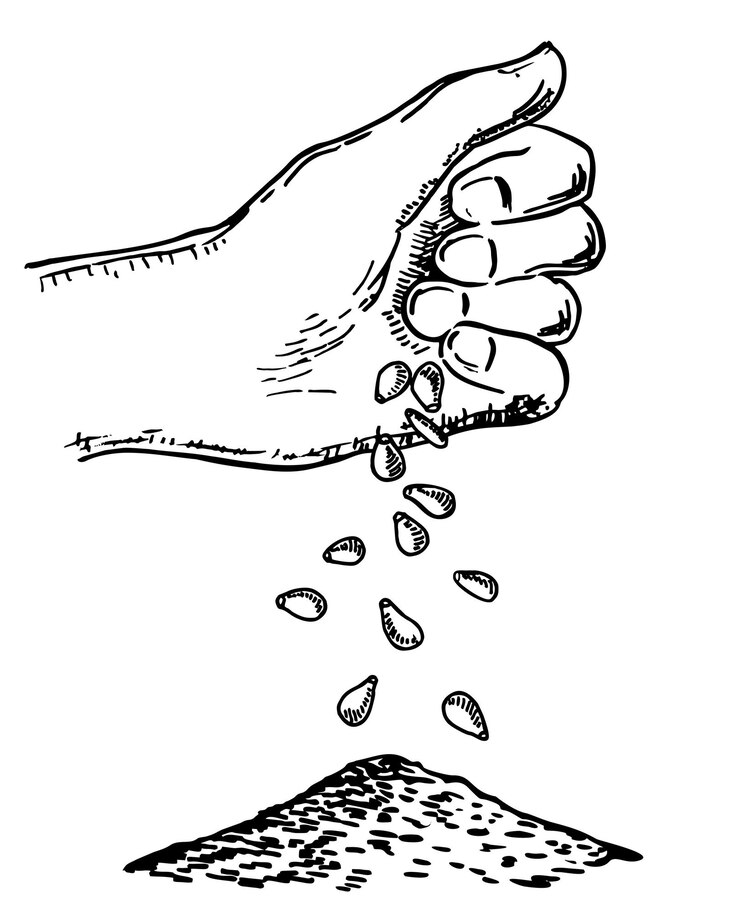 Vector hand sowing seeds hand putting seed to ground process of seeding in sketch style sowing seeds