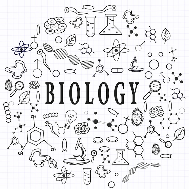 Vector hand tekenen biologie onderwijs doodle pictogram idee set