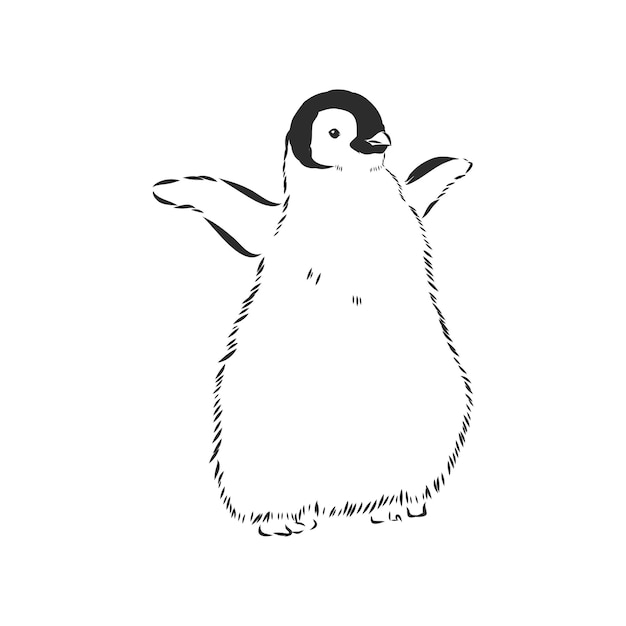 Hand tekenen pinguïns. Vectorillustratie, pinguïn, vectorschetsillustratie