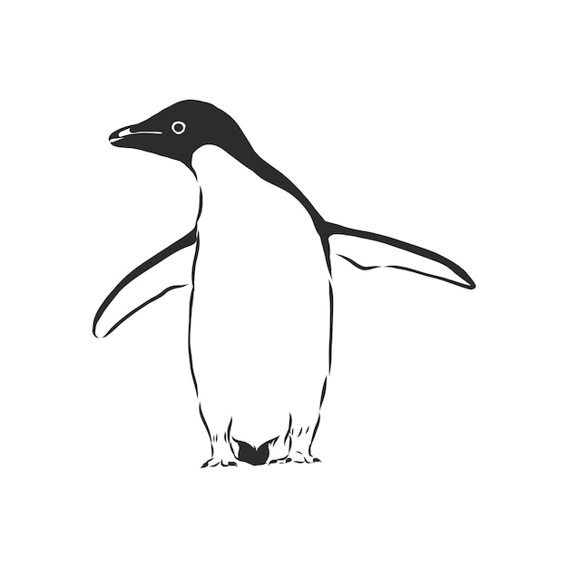 Hand tekenen pinguïns. Vectorillustratie, pinguïn, vectorschetsillustratie