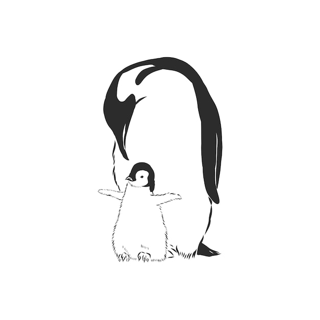 Hand tekenen pinguïns. vectorillustratie, pinguïn, vectorschetsillustratie