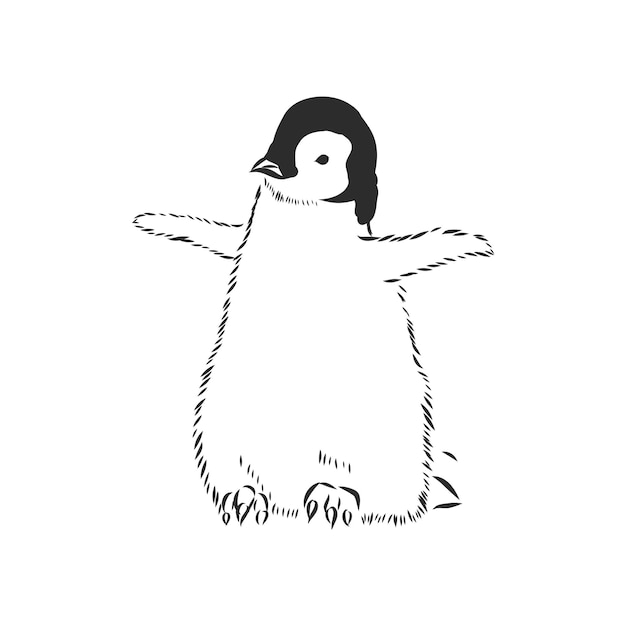 Hand tekenen pinguïns. Vectorillustratie, pinguïn, vectorschetsillustratie