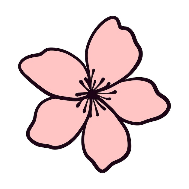 Vector hand tekenen vectorillustratie kersenbloesem bloem japanse sakura bloem