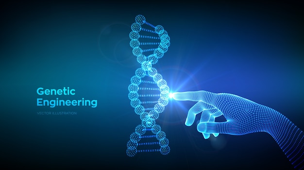 Hand touching DNA code sequence molecules structure mesh. Genetic engineering.