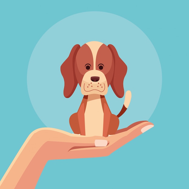 Vector hand with dog pet