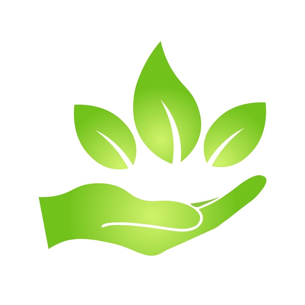 Hand with eco green leaf icon Bio nature green eco symbol for web and business. Simple flat illustration