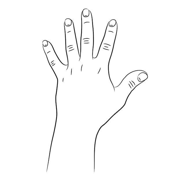 Hand with five fingers raised up sketch