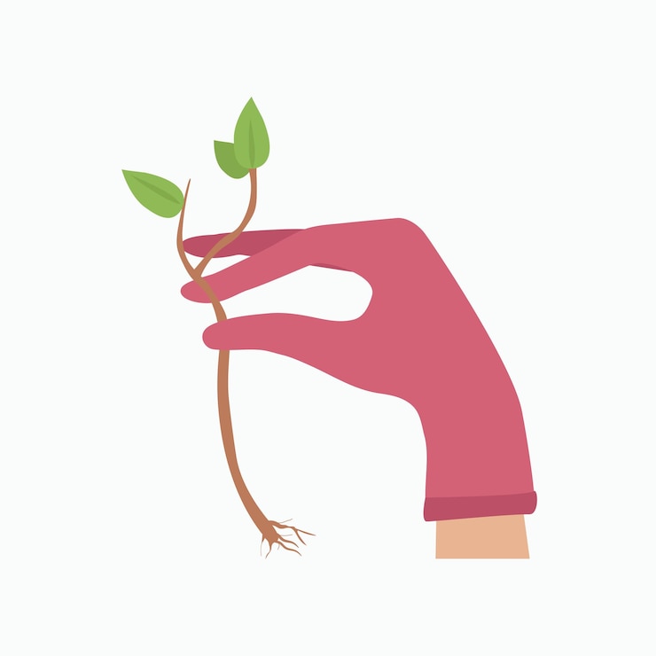 Vector hand with a plant3