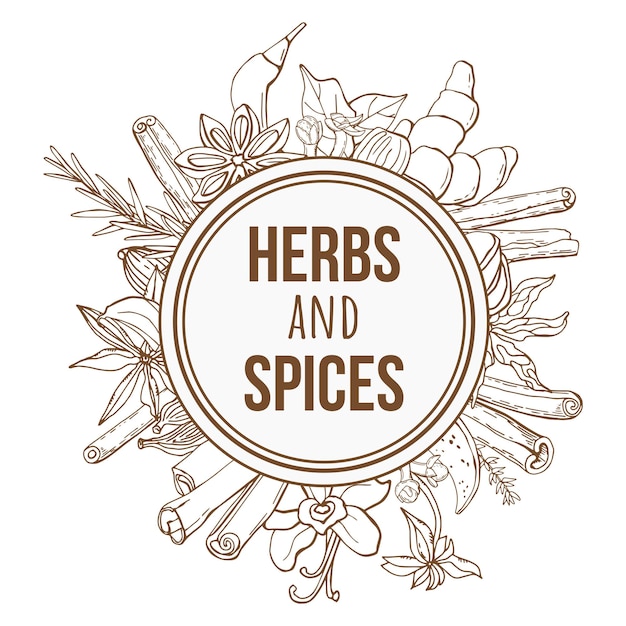 Vector handdrawing background with organic and natural sketch herbs and spices