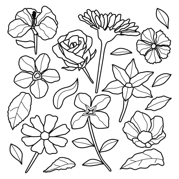 Handdrawn aesthetic realistic floral line art style set