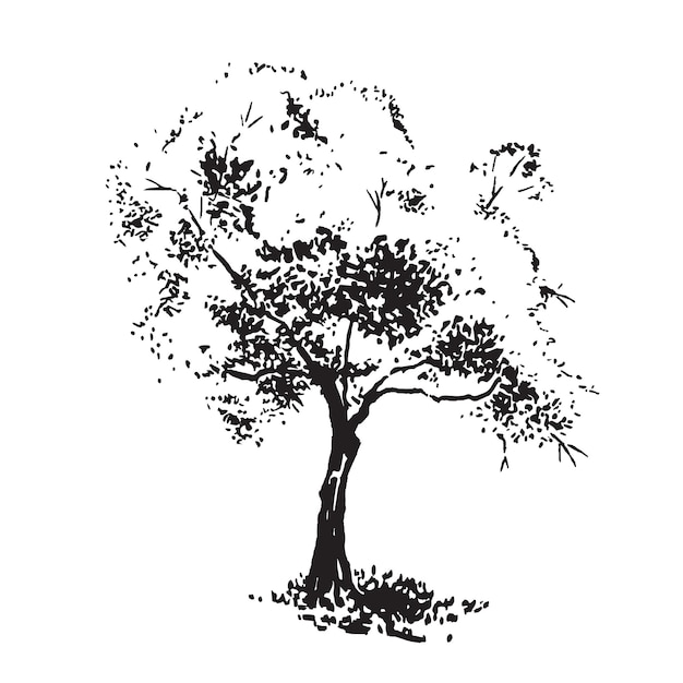 Handdrawn aple tree Black and white realistic image sketch painted with ink brush