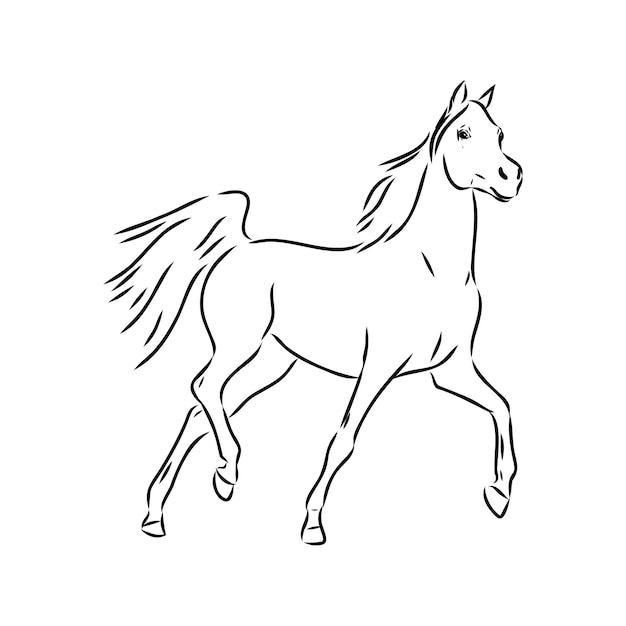 Ручной рисунок арабской лошади с ручкой в векторном формате eps