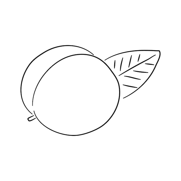 Handdrawn black sketch of a pepper in a doodle icon Vector illustration