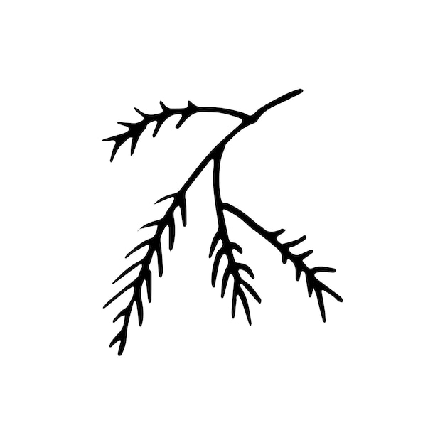 Handdrawn branch doodle icon. Hand drawn black sketch. Sign symbol. Decoration element. White background. Isolated. Flat design. Vector illustration.