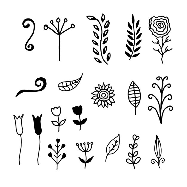 Vector handdrawn decorative leaves and floral elements