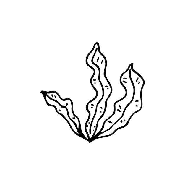 Icona di alghe doodle disegnato a mano. schizzo nero disegnato a mano. simbolo del segno. elemento decorativo. sfondo bianco. isolato. design piatto. illustrazione vettoriale.