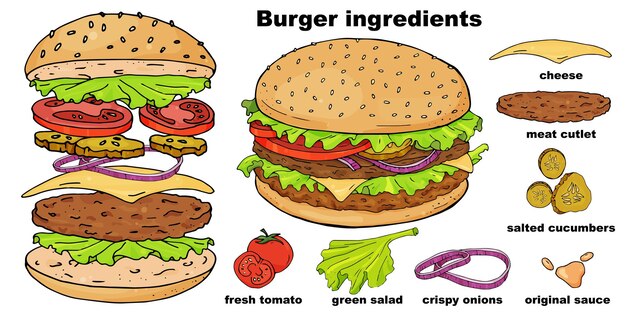 Hamburger di fast food disegnato a mano e i suoi ingredienti