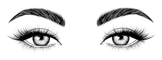 Vector handdrawn female eyes attractive woman eyes