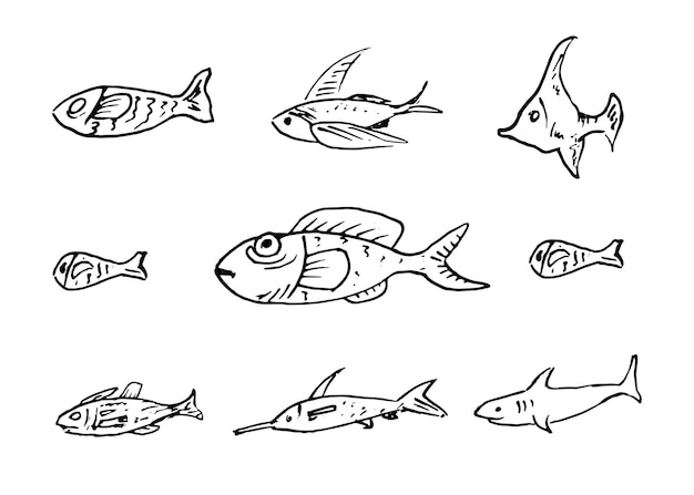 Handdrawn fish set doodle icon. hand drawn black sketch. sign cartoon symbol. decoration element. white background. isolated. flat design. vector illustration.