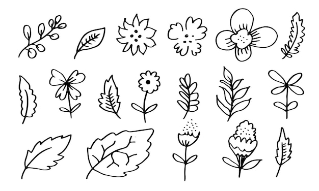 Handdrawn 꽃 images.chrysanthemums, 해바라기, 면화 꽃과 열대 잎.