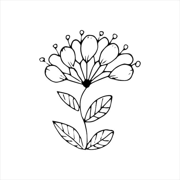Elemento doodle singolo fiore disegnato a mano per colorare la cartolina dell'invito immagine vettoriale in bianco e nero