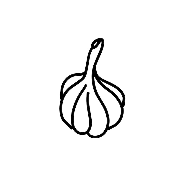 Handdrawn garlic head Doodle style