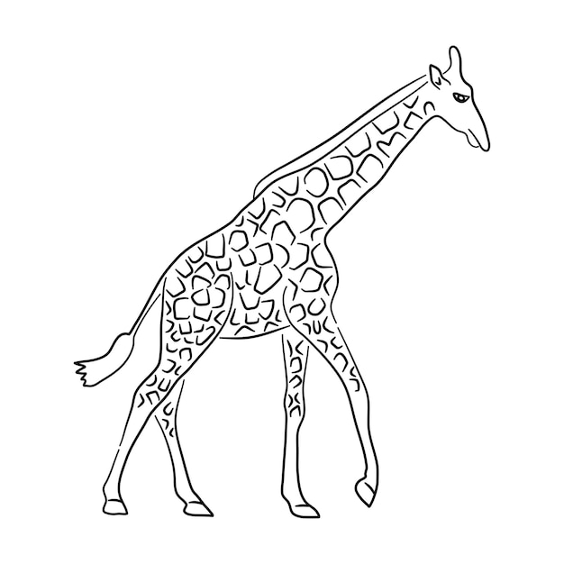 Illustrazione disegnata a mano di vettore di schizzo della giraffa