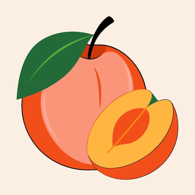 handdrawn illustration of whole peach and slices