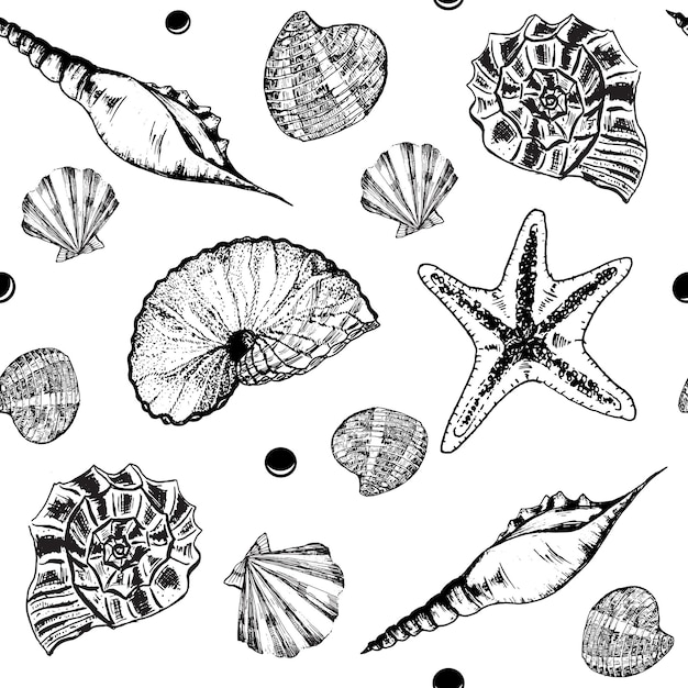 Handdrawn ink illustration black and white seamless pattern with sea shells on white background