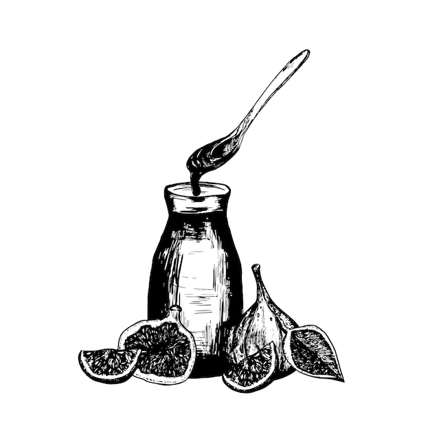 Illustrazione disegnata a mano di sciroppo di fichi in una bottiglia di vetro con fichi freschi e fette vettoriali