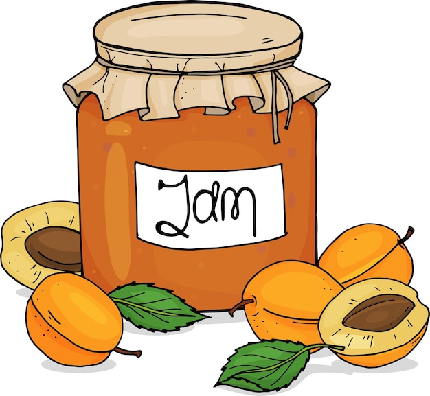 Handdrawn jar of apricot jam and fresh apricots