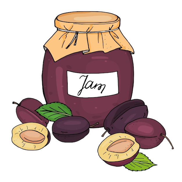 Vector handdrawn jar of plum jam