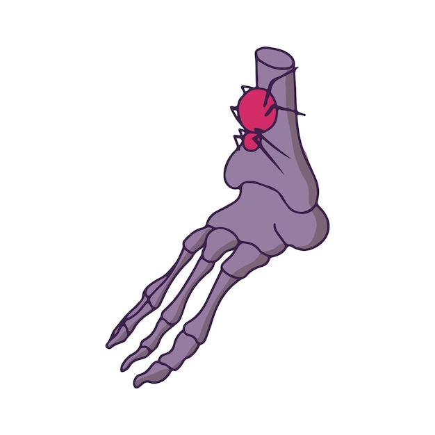 Vettore osso della gamba disegnato a mano scheletro horror dolce con un ragno immagine di halloween clipart vettoriali in stile cartone animato illustrazione isolato su sfondo bianco