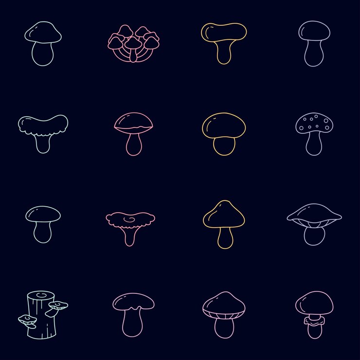Vector handdrawn mushroom illustration