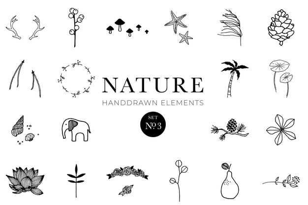 Vector handdrawn nature elements doodle illustrations animals botanical floral drawing illustration