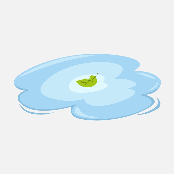 Vector handdrawn nature elements