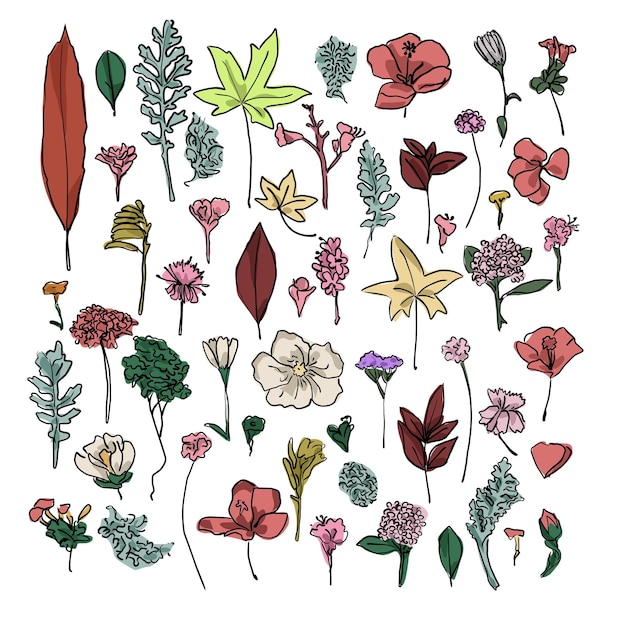 A handdrawn set of colored flowers and leaves of various types cartoon sketch on a white background