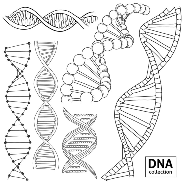 Vector handdrawn set of different dna structures on a white background
