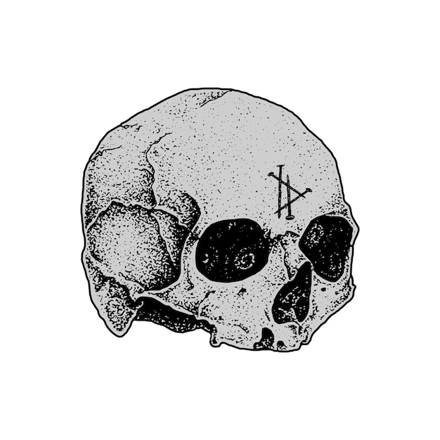 Handdrawn skull artwork for everything brand