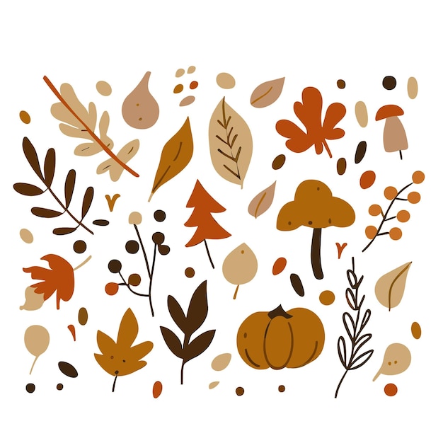 Vector handdrawn vector autumn leaves set handdrawn illustration