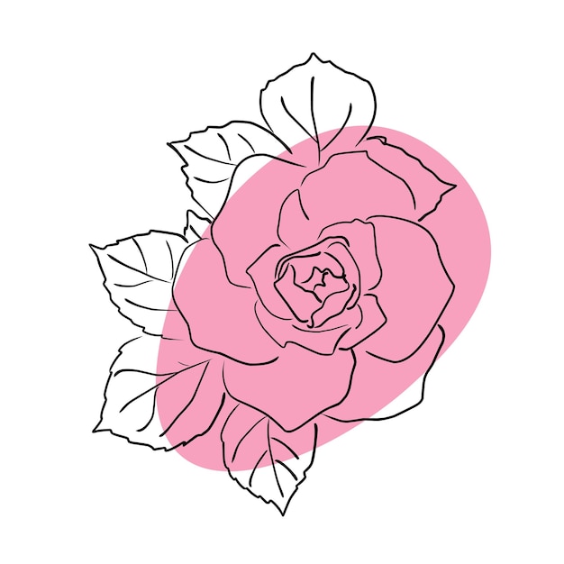 Handdrawn vector illustration of a rose with leaves and pink spots on a background