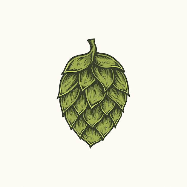 Vector handdrawn vintage hop plant