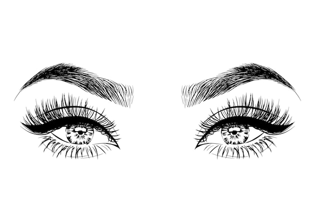 Handdrawn woman's luxurious eyes with perfectly shaped eyebrows and full lashes