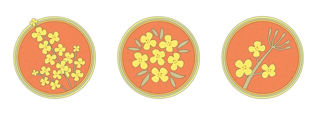 Нарисованный вручную желтый цветок рапса цветущая ветвь для логотипов открыток плоский стиль ретро мультфильм векторное растение канолы все элементы изолированы симпатичный дизайн для вашего значка наклейки