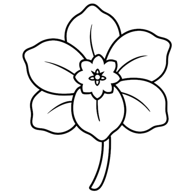 handdrawnprimroseflowervector line art
