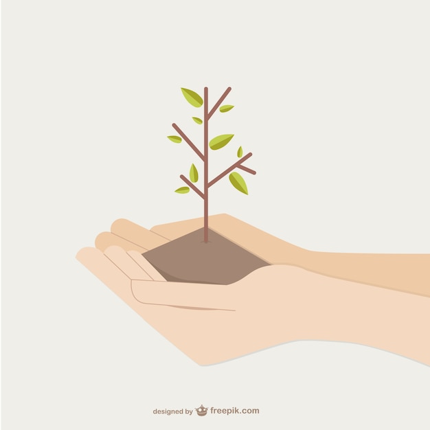 Vector handen houden groeiende boom