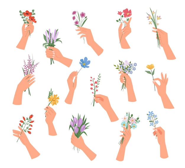 Handen met bloemen decoratieve botanische illustraties boeket in handen van de vrouw Vector mooie planten cartoon sjabloon