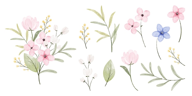 Vector handgeschilderde aquarel bloemen collectie