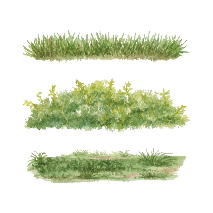 Handgeschilderde aquarel groen gras struiken collectie